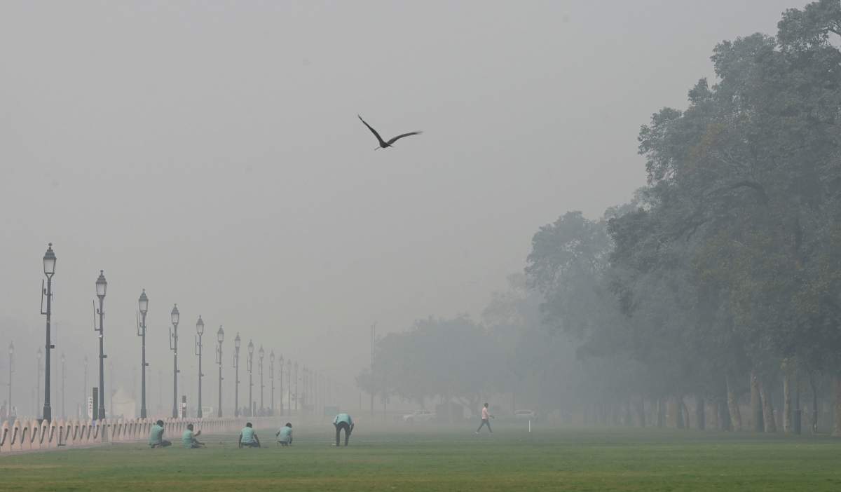 Smog hangs over a park in India.