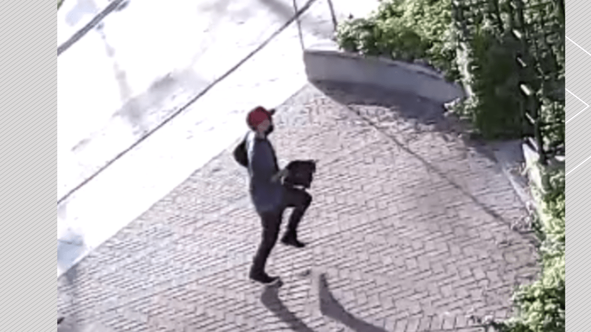 Police in Lindsay, Ont., continue to investigate a purse-snatching incident on May 13, 2023. A surveillance image of a suspect was released on June 5, 2023.