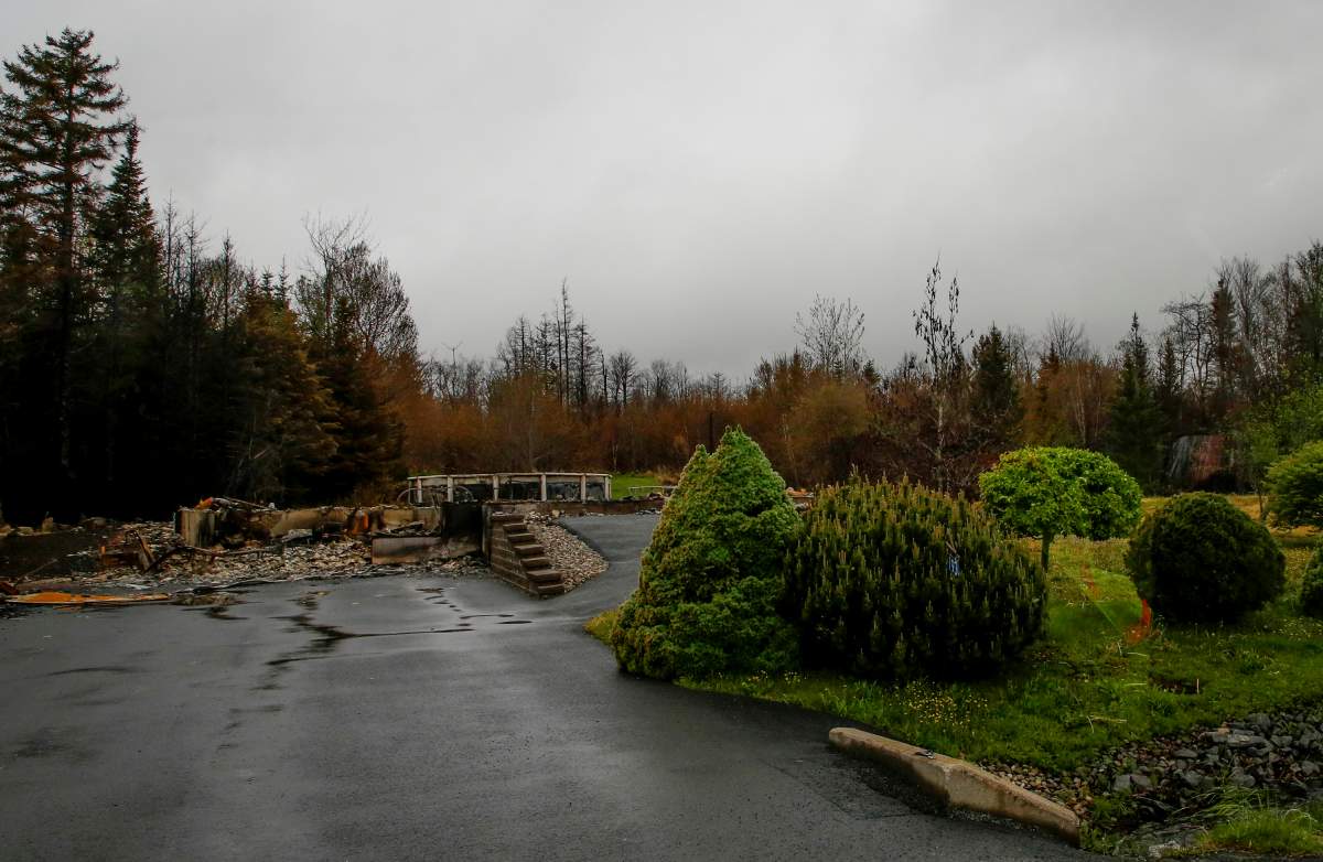 The untouched plants in front of a destroyed home are seen following the wildfire on Carmel Crescent in Hammonds Plains, NS Tuesday June 6, 2023.