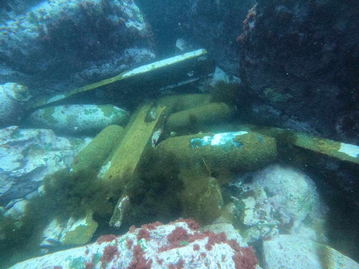 A diving expedition to the shipwrecks of USS Pollux and USS Truxtun has found over a dozen bombs.
