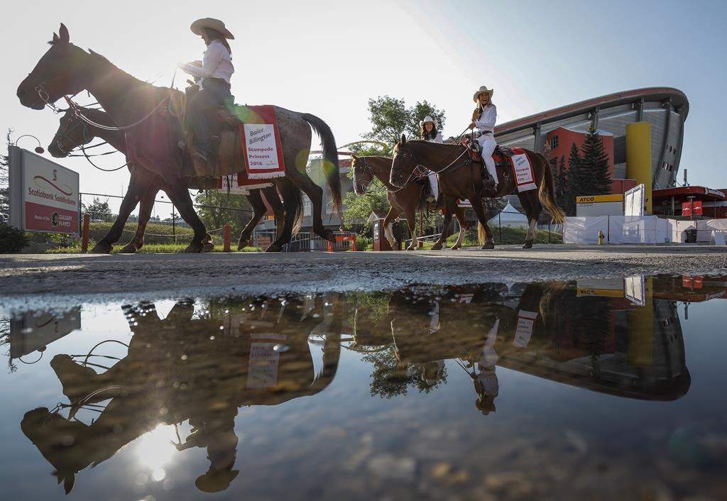 After a few years of pandemic-related uncertainty organizers with the Calgary Stampede are happy to be returning to simply encouraging those attending the Greatest Outdoor Show on Earth to wear cowboy hats and staying hydrated. Stampede princesses ride past the Saddledome during the Calgary Stampede parade in Calgary, Alta., Friday, July 9, 2021.