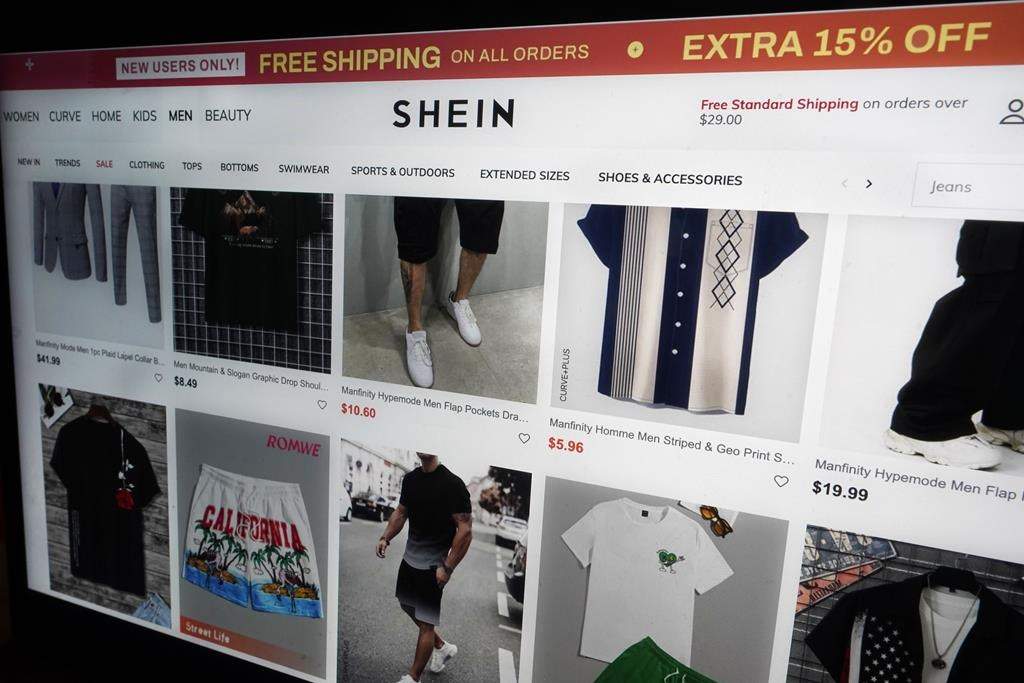 Shein website on a computer