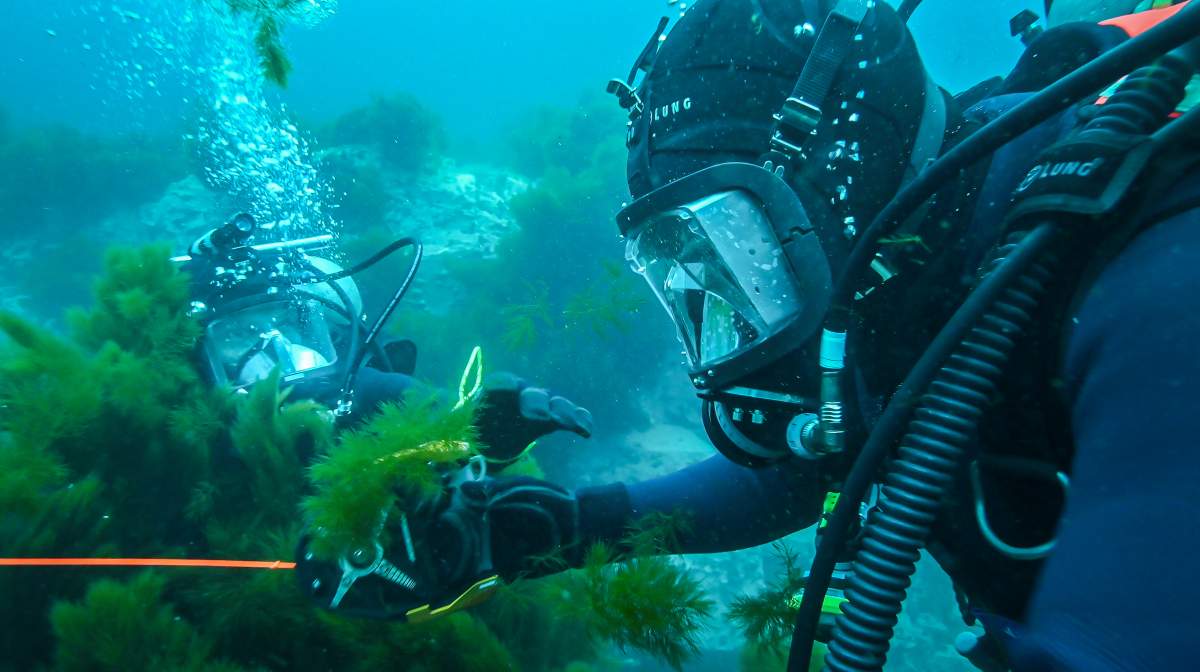 diving expedition