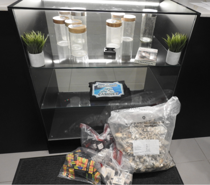 A photo of contraband seized from a Hamilton Ont. magic mushroom shop on Main Street East.