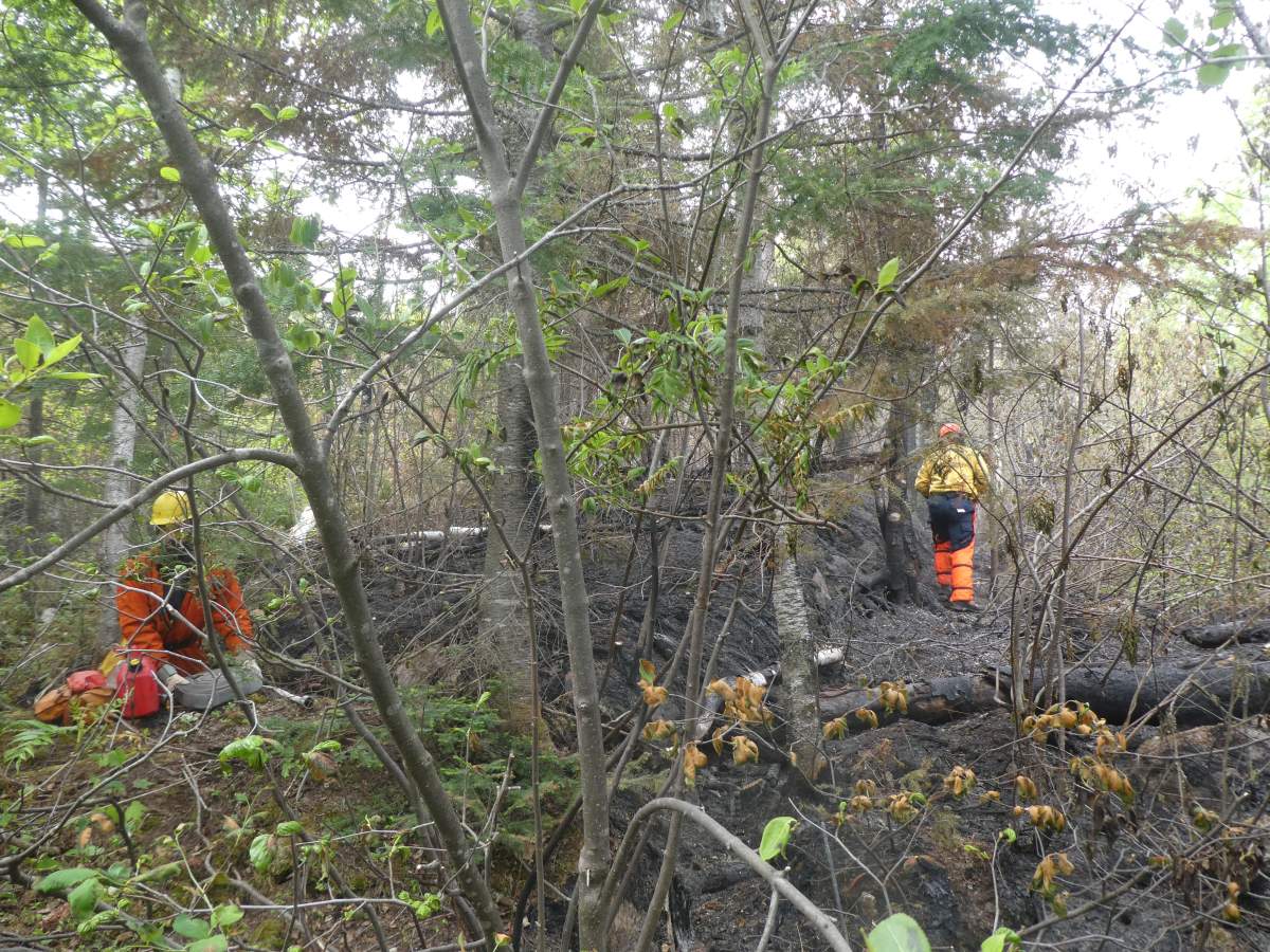 Wildland firefighters work in a forest in Normetal, Que., in a June 11, 2023, handout photo. Ottawa is deploying Canadian Rangers to help evacuate Quebec Cree communities threatened by wildfires. Friday, July 14, 2023.