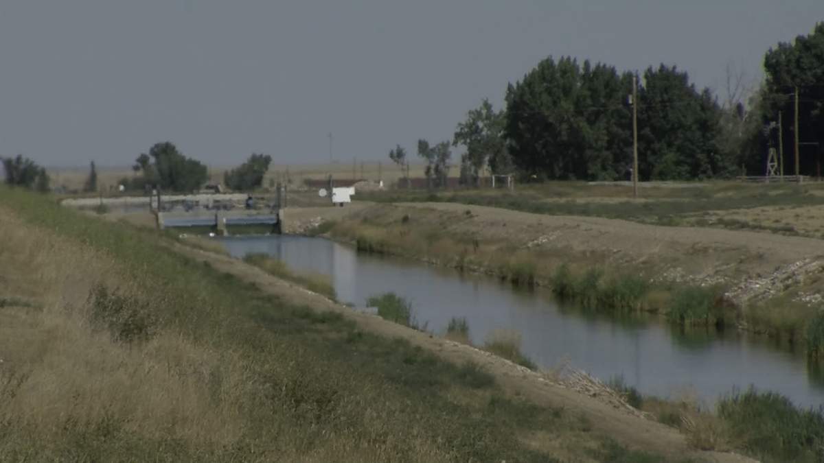 Three people were killed after a vehicle crashed into the St. Mary's Irrigation District canal in Cypress County, Alta. in the early morning hours of July 31.