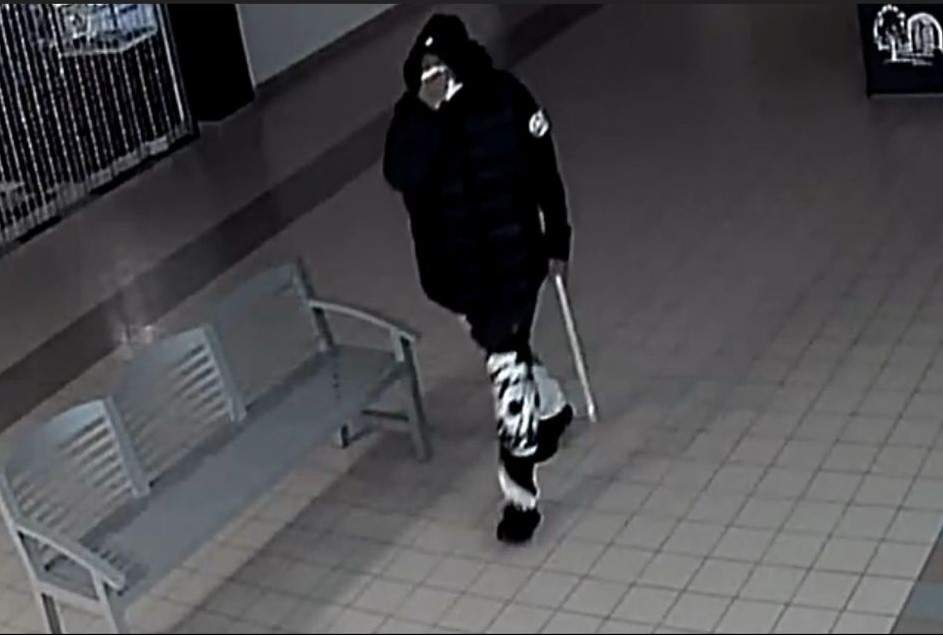 Photo of suspect.