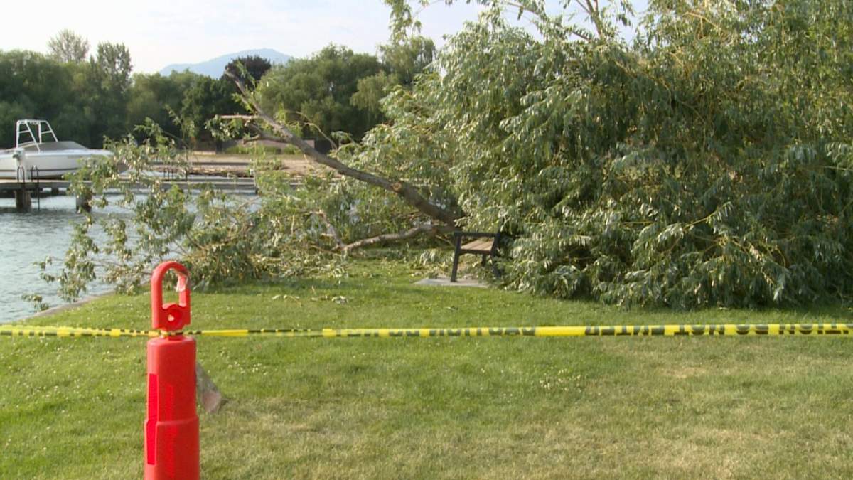 A photo of the tree-covered bench at Kinsmen Park in Kelowna.