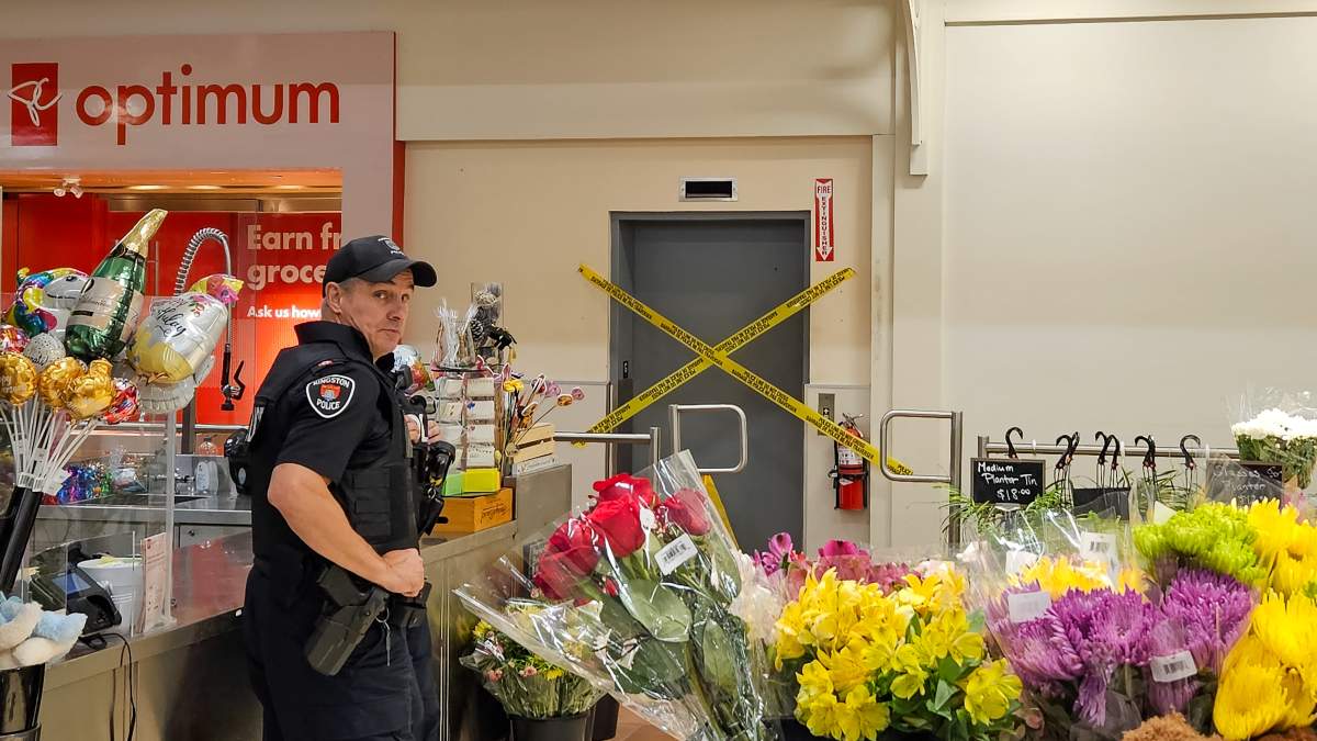 Man, 36, arrested after attempted vehicle robbery at Kingston Loblaws: police - image