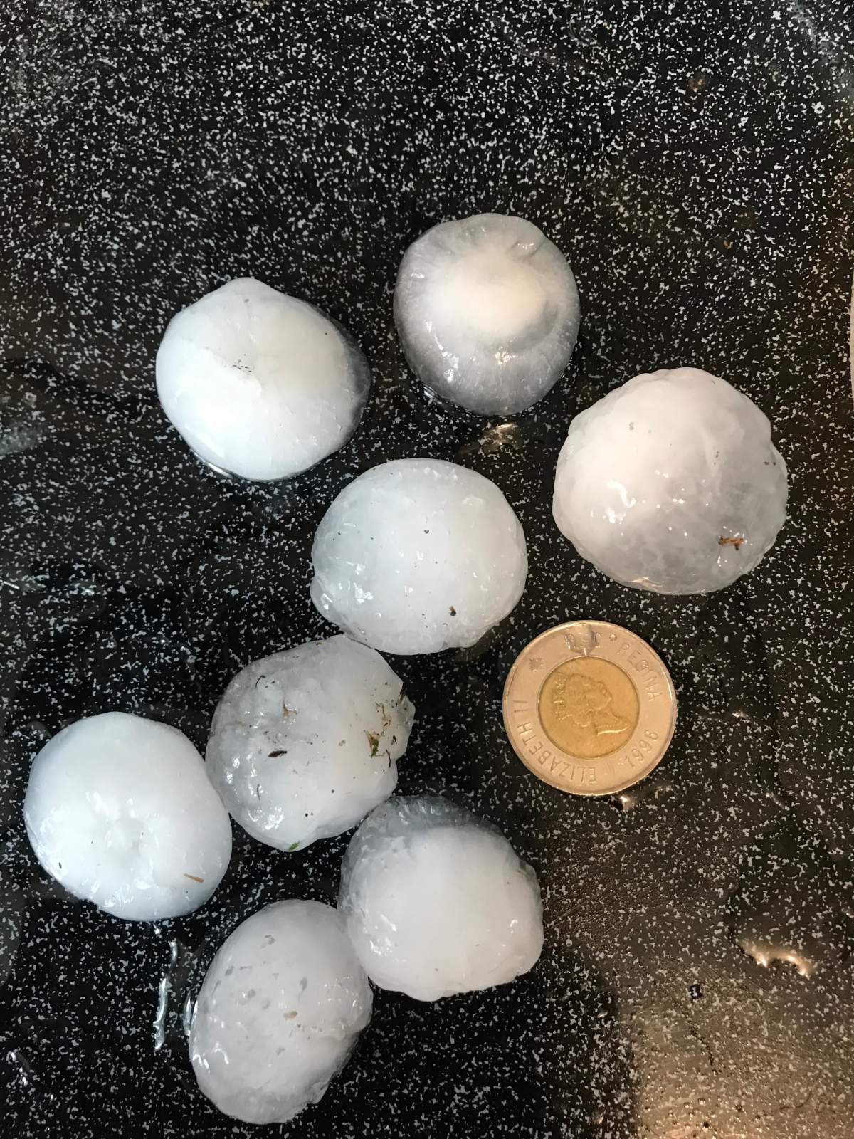 Hail roughly the size of a toonie fell from the sky during a wild storm in Killam, Alta. Saturday, July 1, 2023.