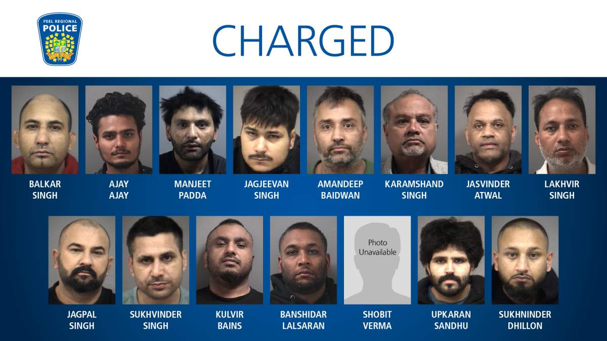 15 alleged members of crime ring arrested after cargo, trucks worth millions stolen in GTA - image