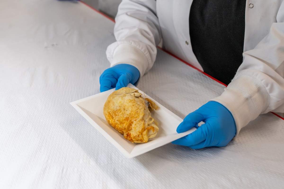 McMaster University researchers say they are on their way to creating a tray that will allow a food-safe reagent to become a built-in sensor to detect the presence of salmonella.