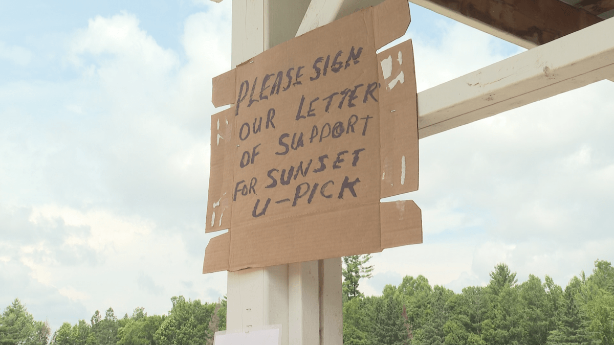 There is a letter of support circulating to ask the City of Fredericton to grant a multi-year lease to new owners so the U-pick can continue.