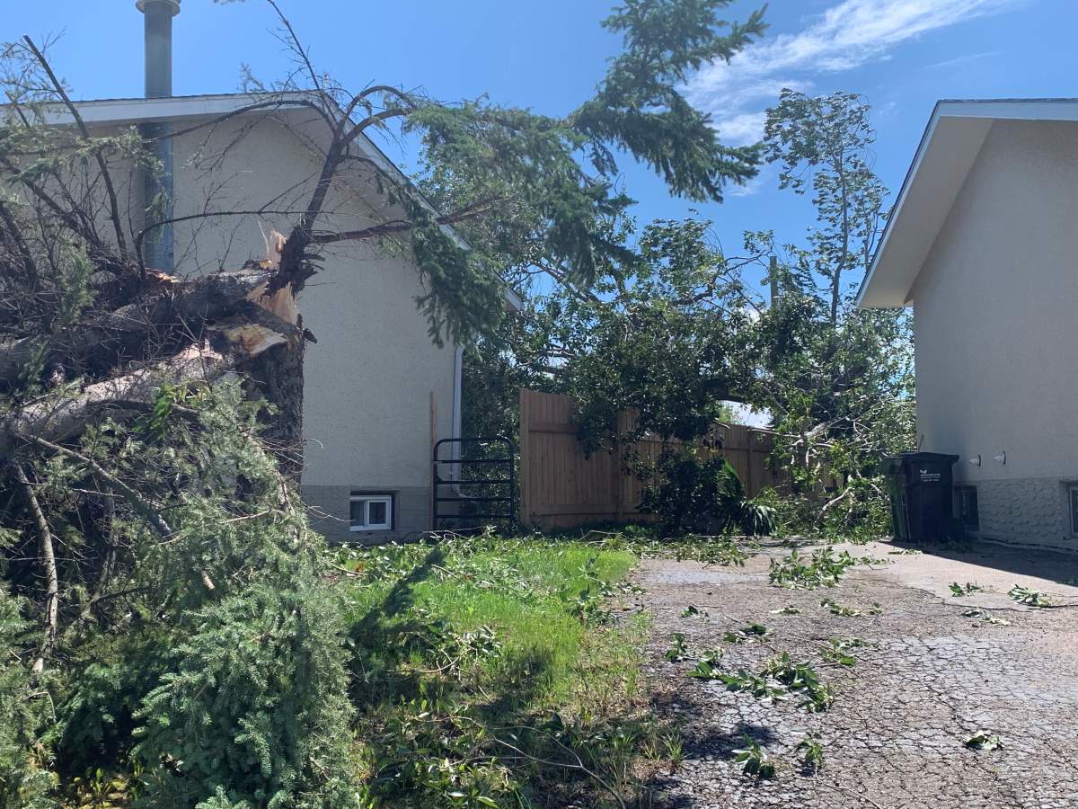 Cleanup efforts were underway Tuesday in Westlock, Alta., after a violent storm passed through the community.