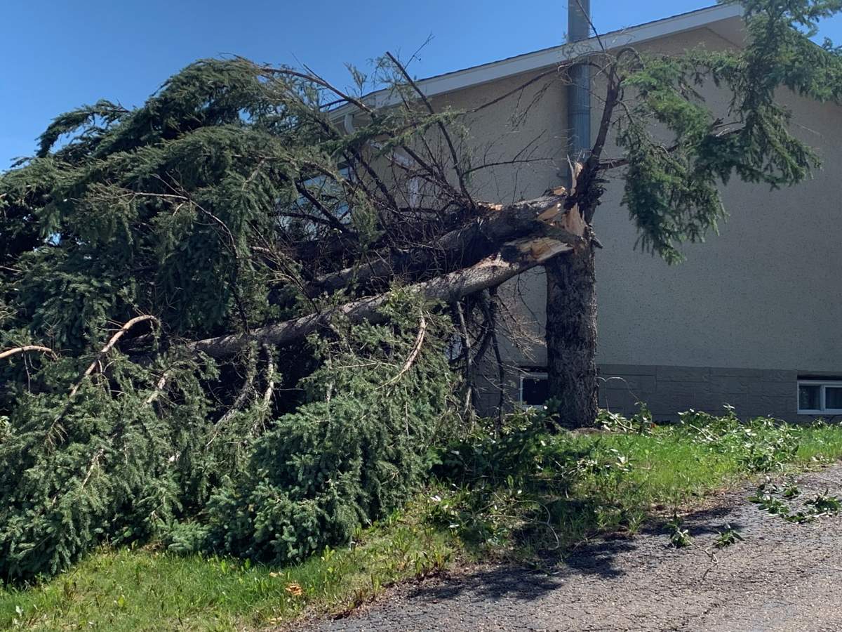 Cleanup efforts were underway Tuesday in Westlock, Alta., after a violent storm passed through the community.