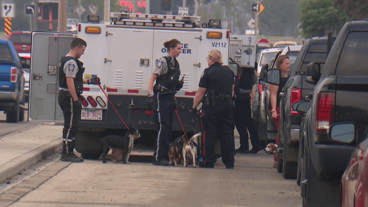 Police and peace officers worked together to seize the pets.
