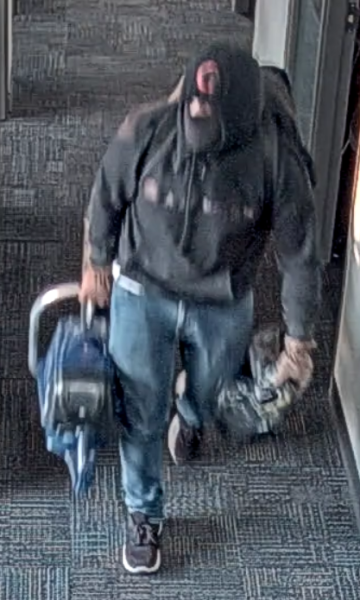 Police say the suspect uses an e-scooter, and gains entry by either smashing through glass with a hammer or using an Angle Grinder or cement saw to cut through doors and fences.