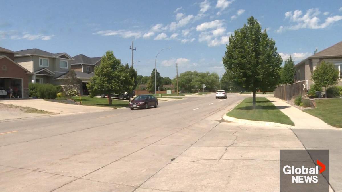 Second coyote shot in North Kildonan after attacks on children - image