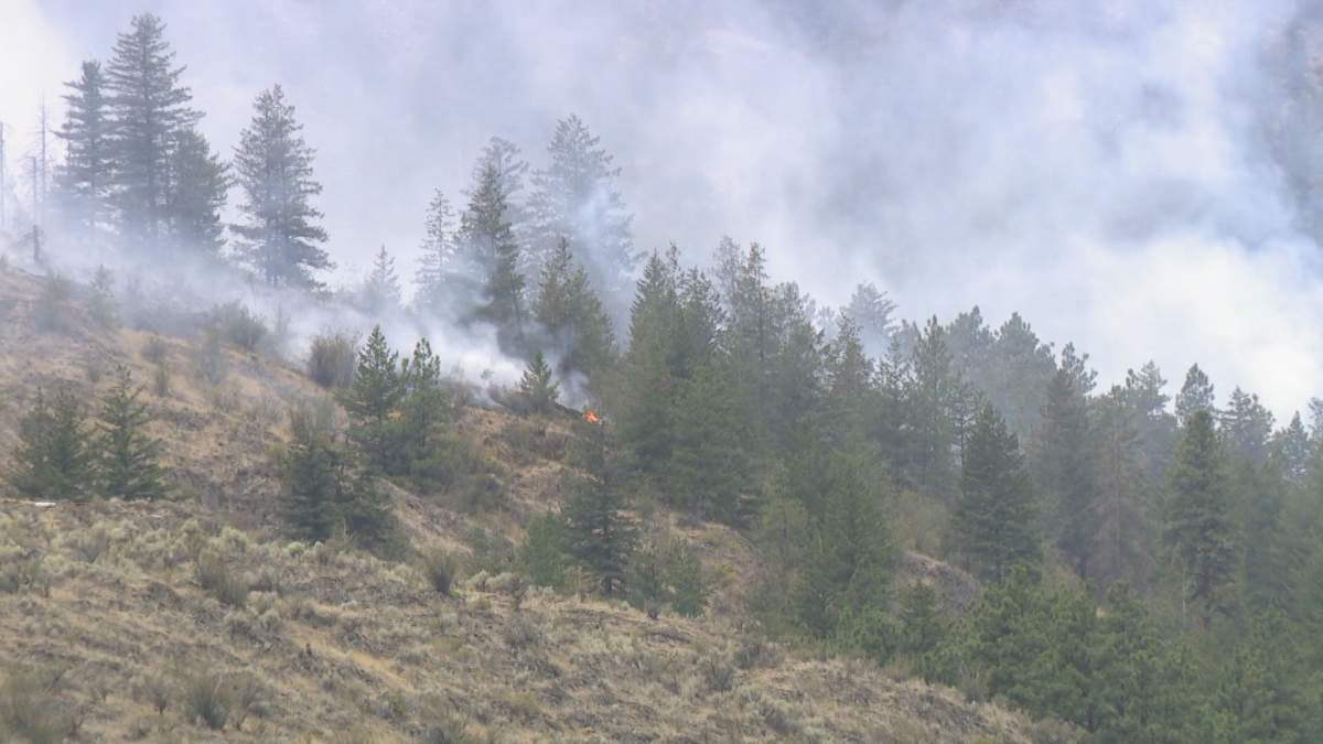 Evacuation order issued for Osoyoos after U.S. wildfire crosses border - image