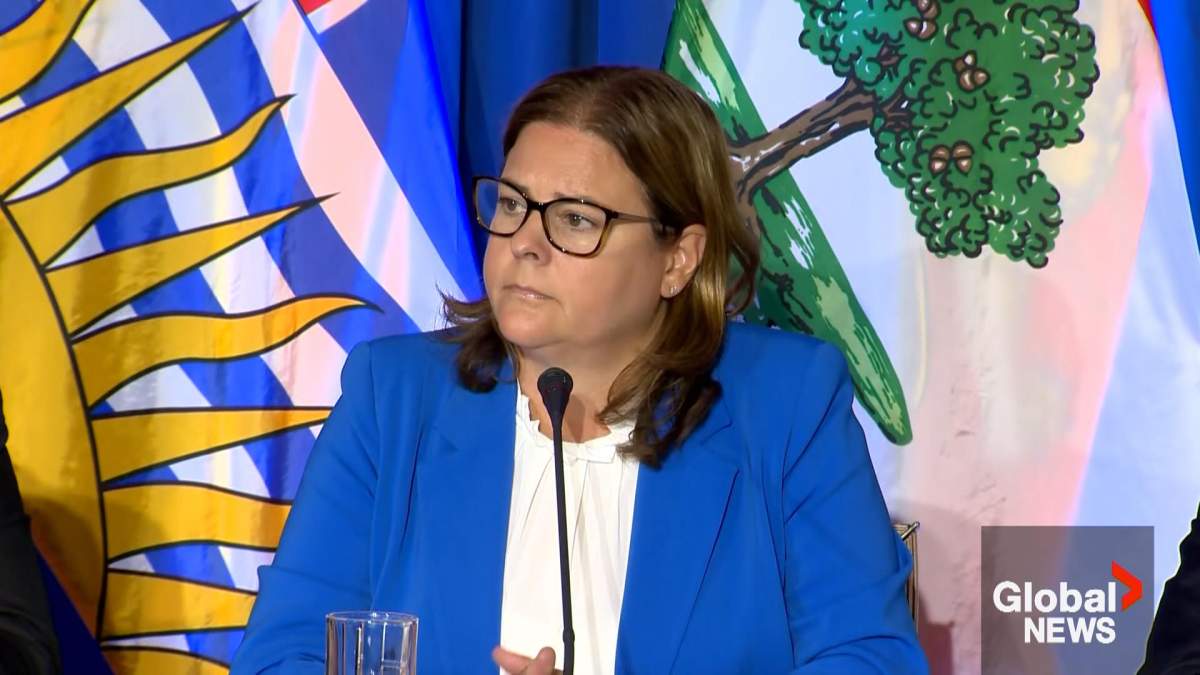 Manitoba premier lashes out at federal minister for landfill search comments - image