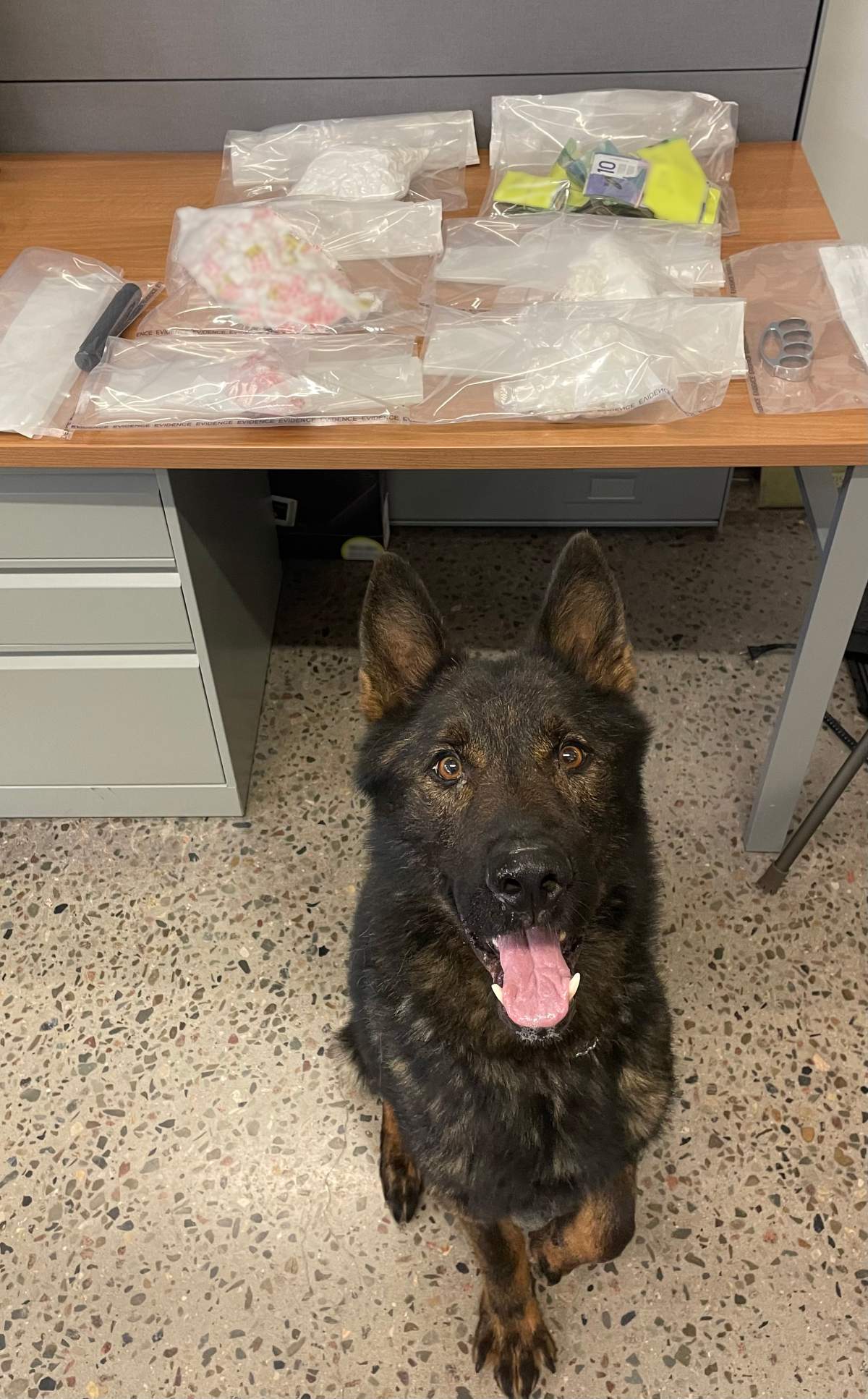 Saskatchewan RCMP said drugs, weapons and cash were seized in a traffic stop on Tuesday.