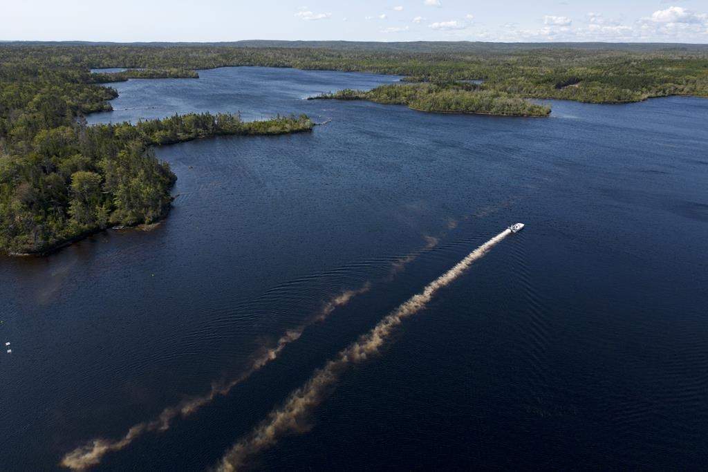 Early assessments are indicating positive results nearly a year after a chemical was used against invasive smallmouth bass in an eastern Nova Scotia lake. An aerial view of Dobsons Lake is shown in an undated handout photo. THE CANADIAN PRESS/HO-Nova Scotia Department of Fisheries and Aquaculture **MANDATORY CREDIT**