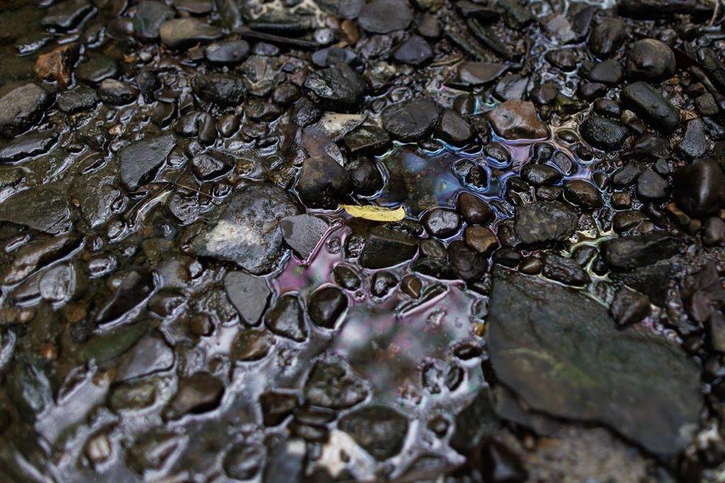 Chemicals shimmer on the creek bed at Mimico Creek in Toronto on Tuesday, Aug. 15, 2023. THE CANADIAN PRESS/Cole Burston.