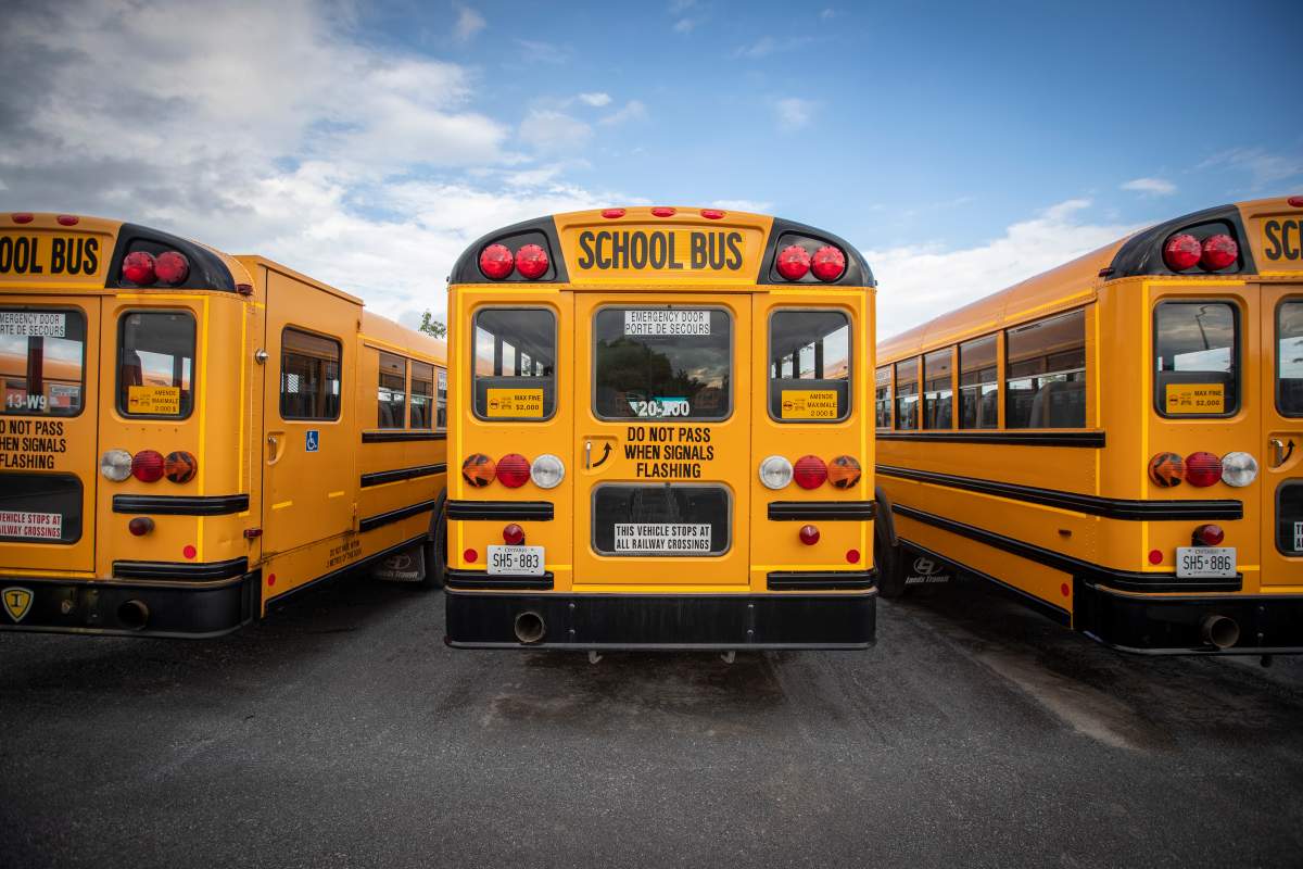 School buses in a parking lot