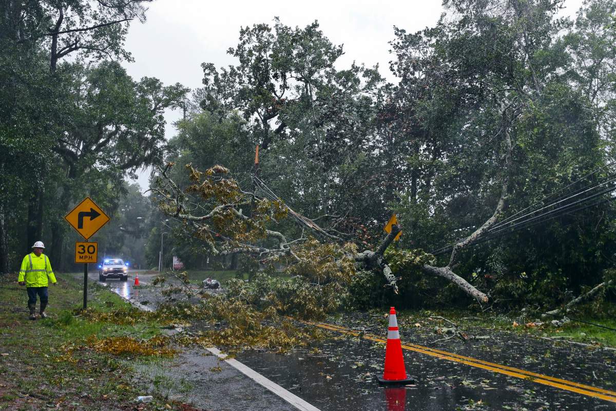 A City of Tallahassee electrical worker assesses damage to power lines after a tree fell on Old St. Augustine, a canopy road, in Tallahassee, Fla., as Hurricane Idalia made landfall Wednesday, Aug. 30, 2023.