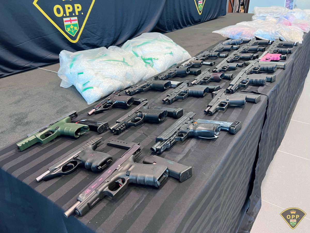 The guns seized by police in Project Moffatt.