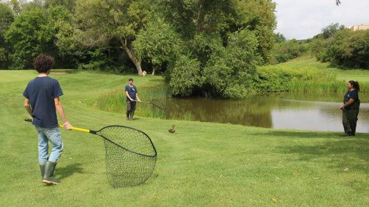 The Toronto Wildlife Centre is working to catch and clean animals after the spill.