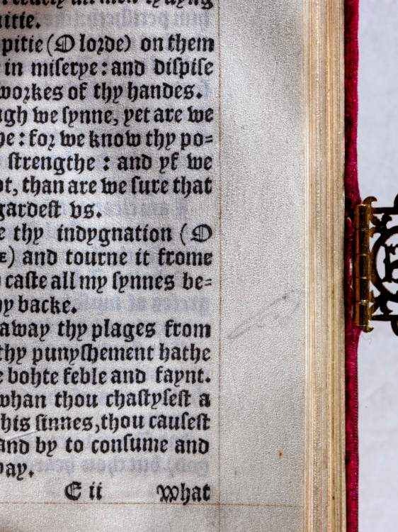 A closer look at the drawing in the margin. Credit: The Trustees of The Wormsley Fund and reproduced with permission from The Wormsley Estate.