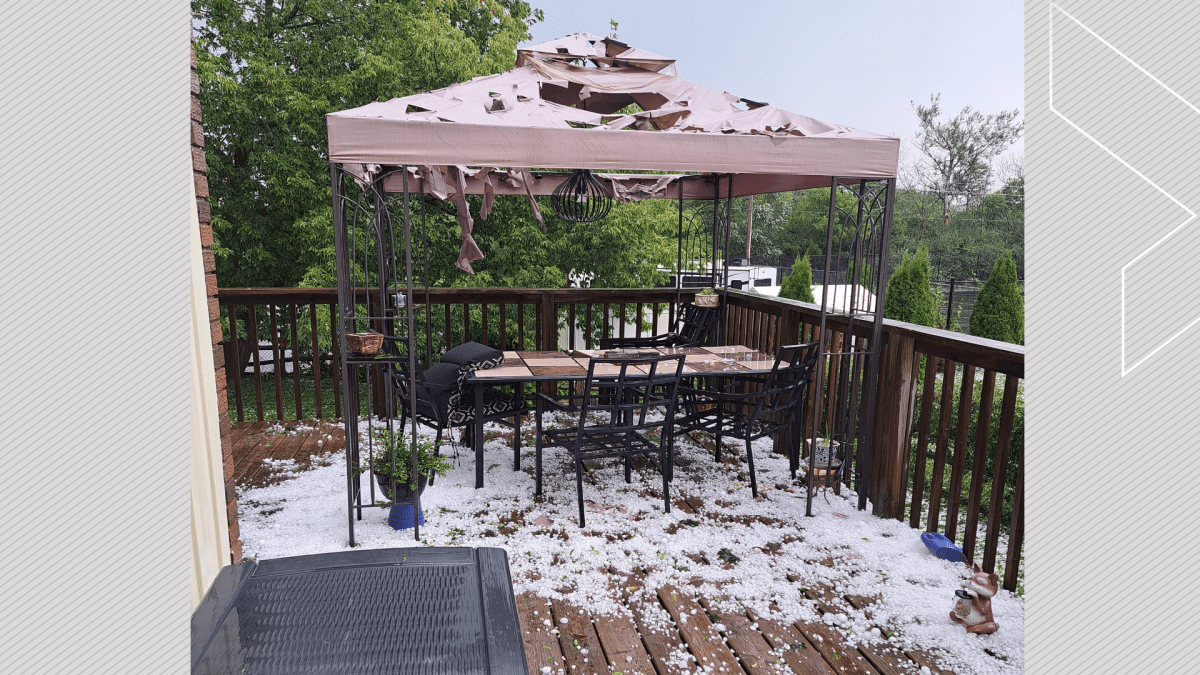 Large hail fell in Lindsay, Ont., on Aug. 3 causing damage to vehicles, property and vegetation.