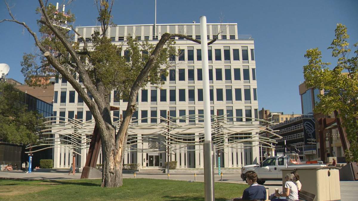 Regina's oldest tree which is figured to be 123 years old will be coming down on Sunday before it becomes a hazard to other trees and residents within the park. 