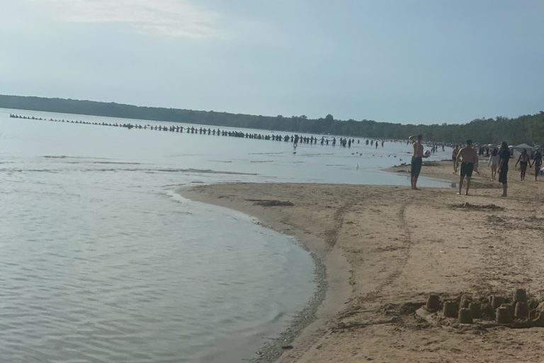 Sandbanks beach rescue