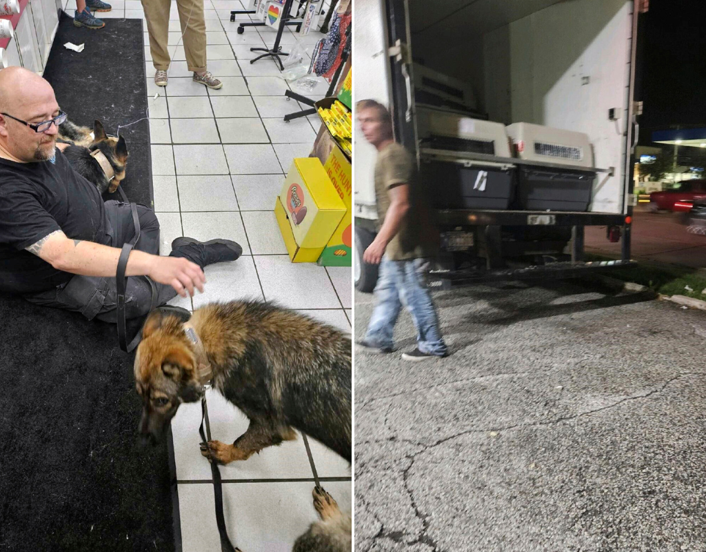At least eight police dogs are dead after the air-conditioning in the cargo truck transporting them through northern Indiana broke down.