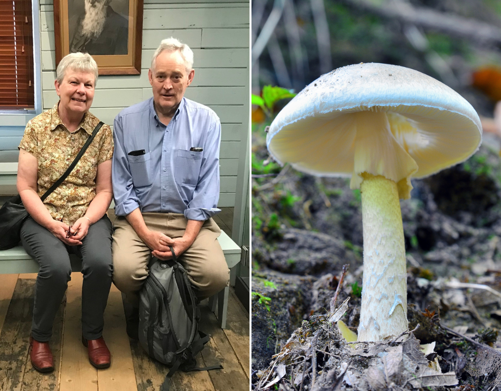 Heather Wilkinson (left) and Ian Wilkinson (right) attended a lunch with a relative that led to Heather's death and Ian left fighting for his life. Police believe they have been poisoned by death cap mushrooms.