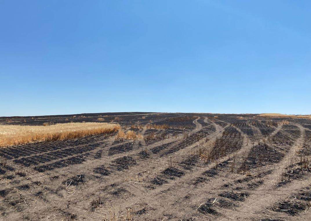 A large field, left black and charred, from the destructive grass fire.