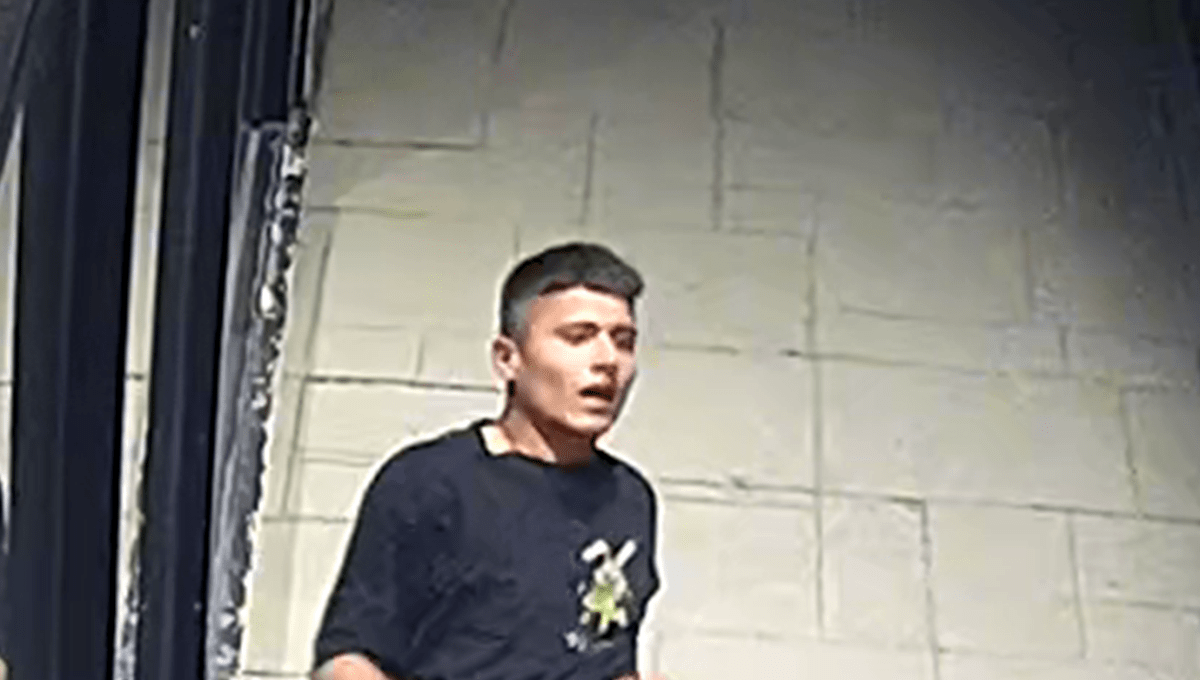 The person Calgary Police believe to be responsible for an assault and attempted robbery in the northeast community of Tuxedo Park.