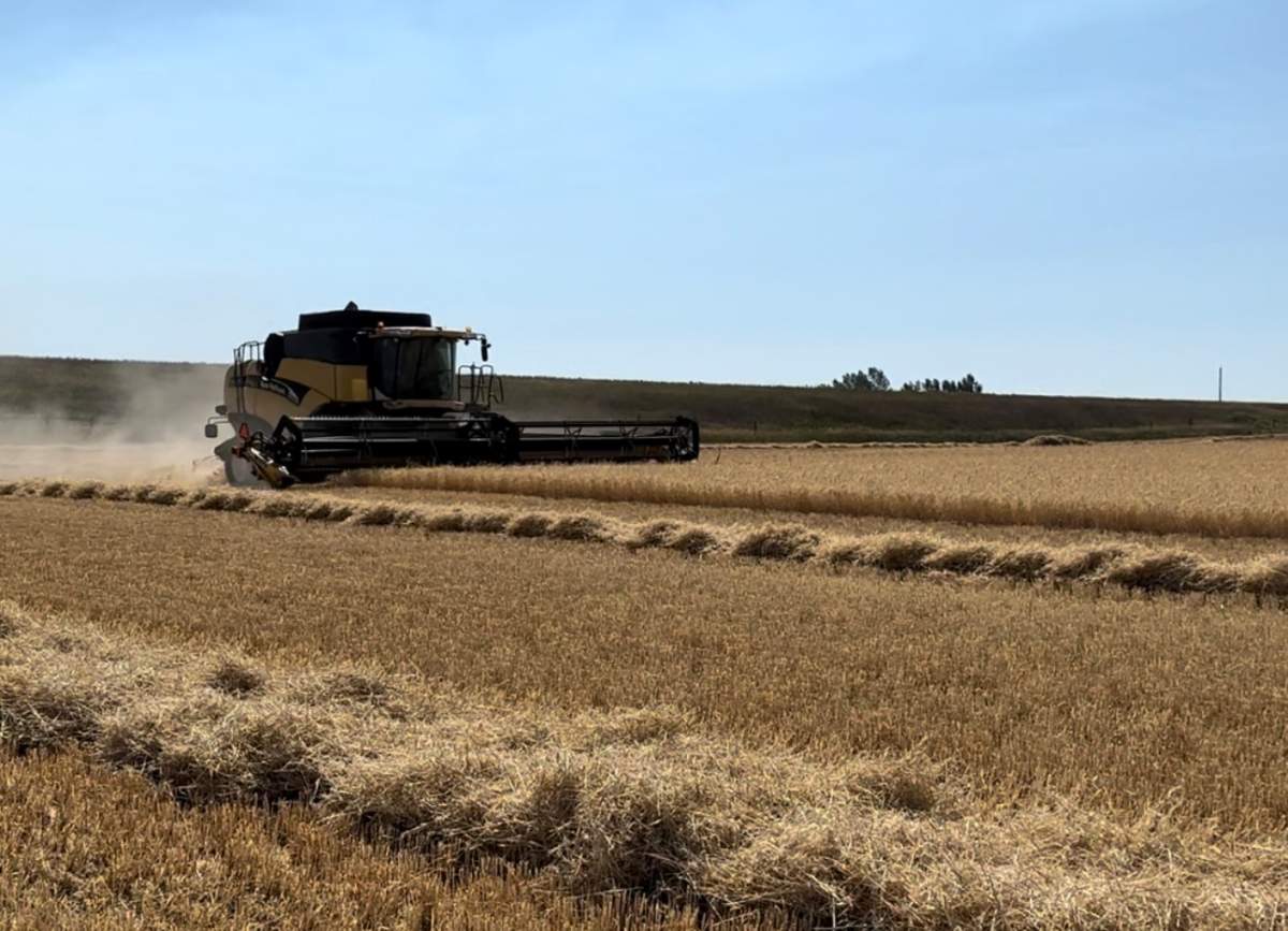 Harvest 2023
