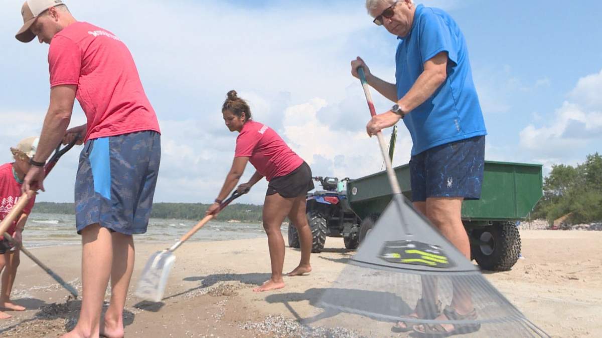 Volunteers raking and shoveling zebra mussel shells on Lester Beach.