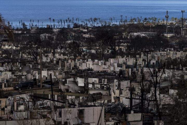 Hawaii Fires