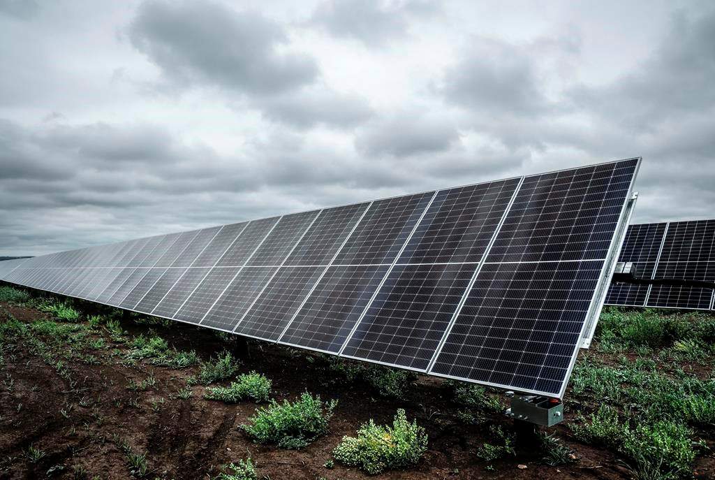 A solar panel array will be built in Saskatoon with it expected to run by the end of 2023. THE CANADIAN PRESS/Jeff McIntosh.