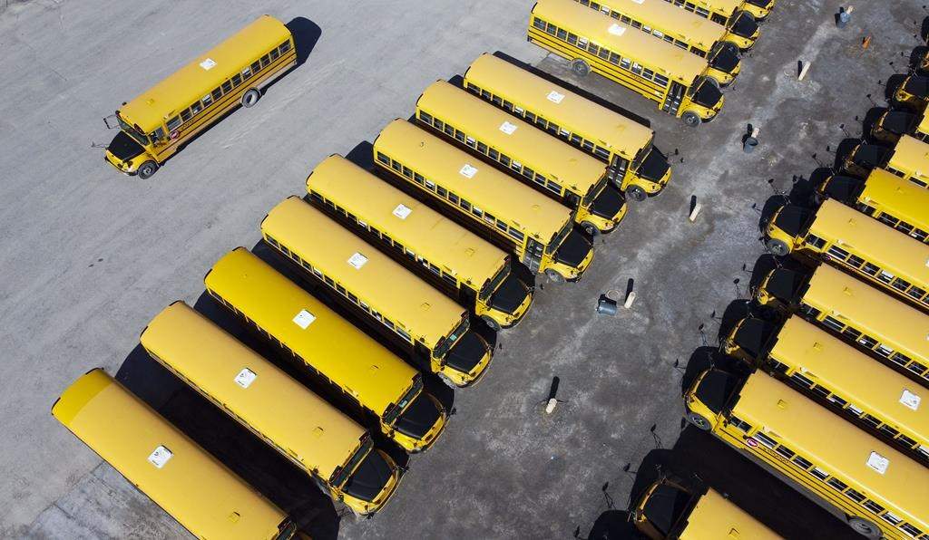 The union representing New Brunswick school bus drivers is challenging claims by the auditor general that its members are failing to meet licensing, training and criminal record check requirements.