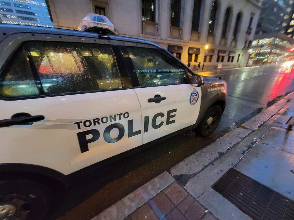 Brampton man arrested fro alleged damage of parking enforcement vehicle. 