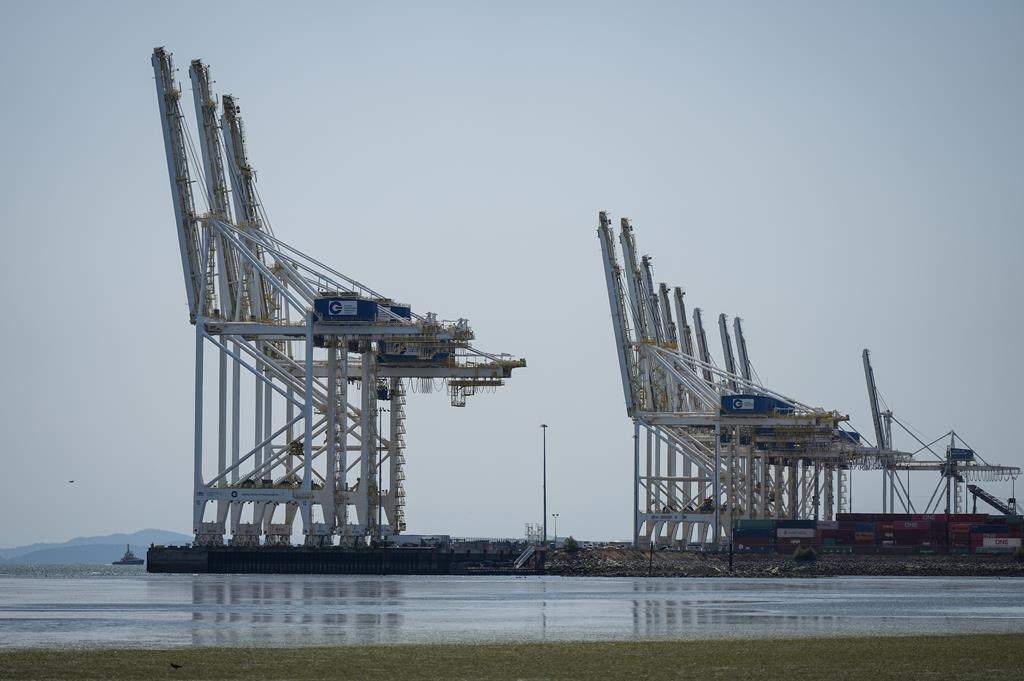 Gantry cranes used to load and unload cargo containers from ships sit idle at Global Container Terminals at Roberts Bank's existing Deltaport facility, in Delta, B.C., Friday, July 7, 2023.