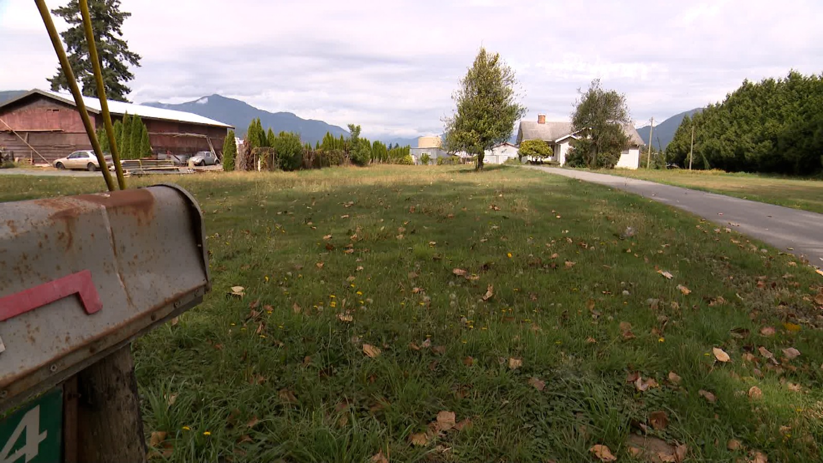 Qingwei Wang’s farm in Chilliwack, B.C.