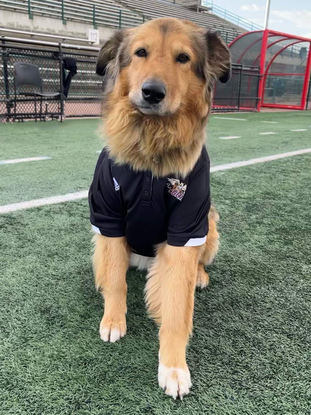 Dianne stole her mom’s jersey. Her mom is ok with it.