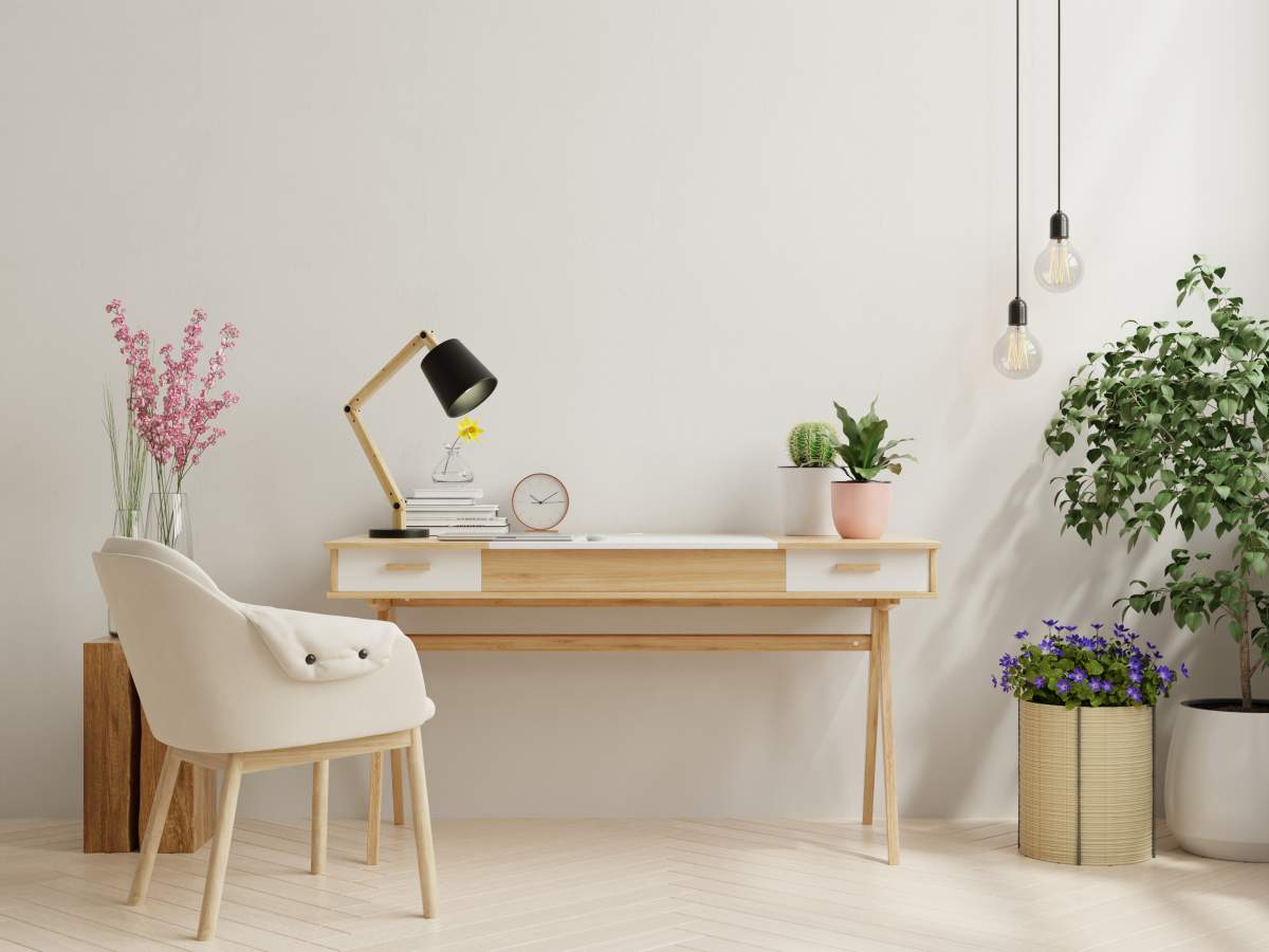 Home office essentials