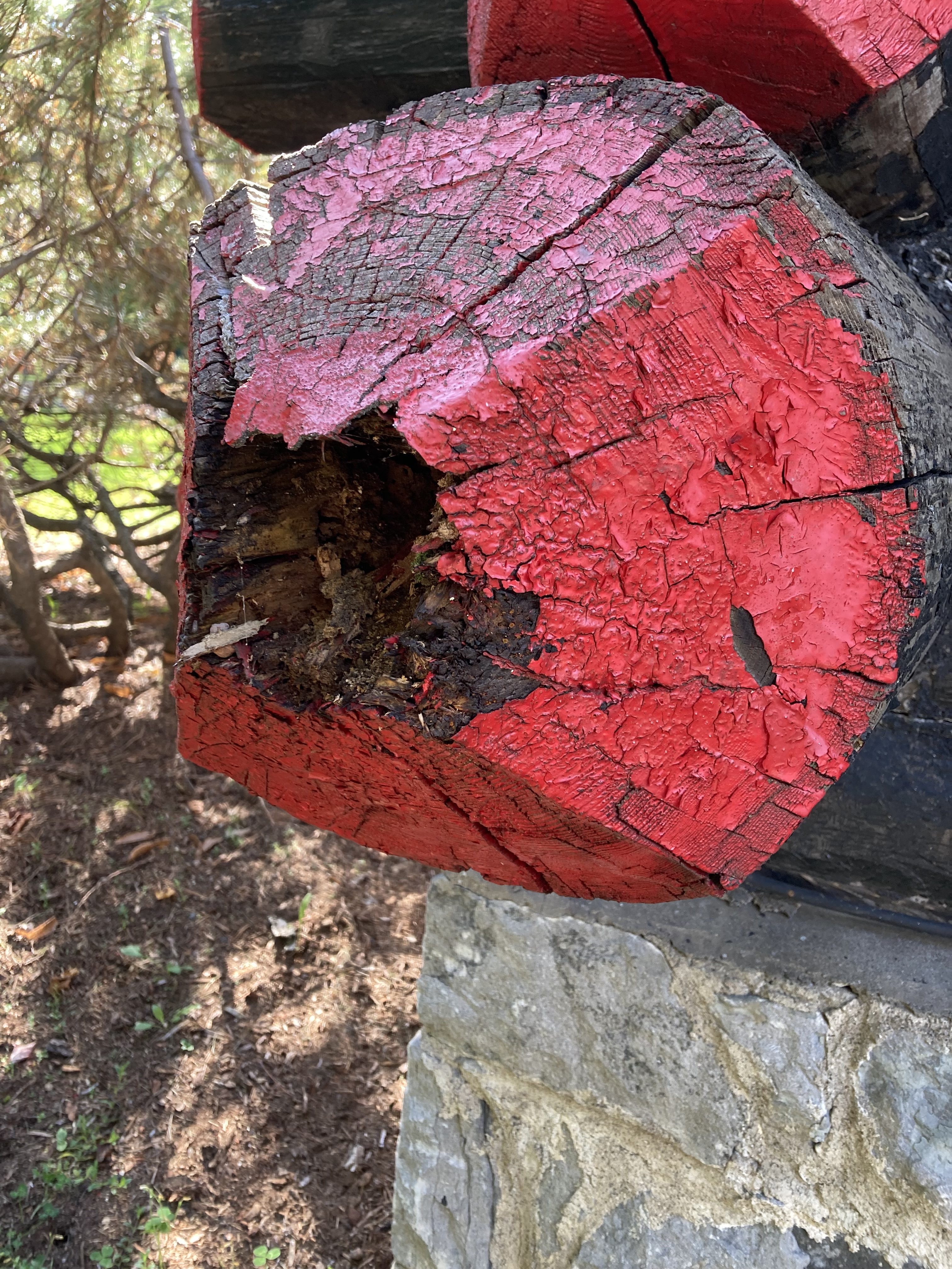 Chateau Montebello log